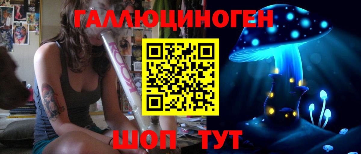 где можно купить наркотик  Псилоцибиновые грибы Psilocybine cubensis  Азнакаево  Вход с VPN  Галлюциногенные грибы мухоморы 